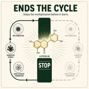 Ends The Cycle